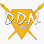 D.D.N. srl